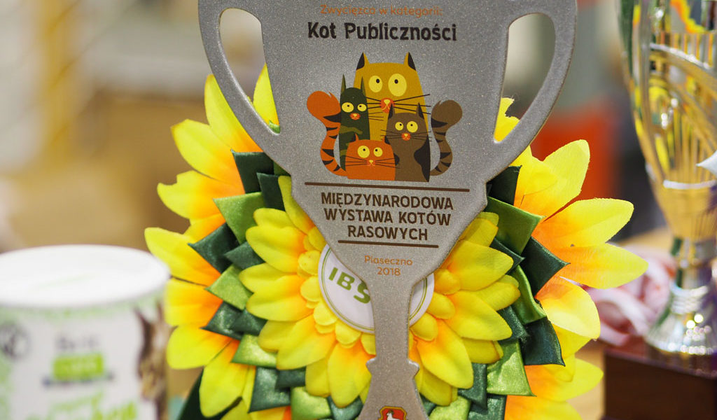 Gmina Piaseczno – realizacje statuetek dla urzędu.